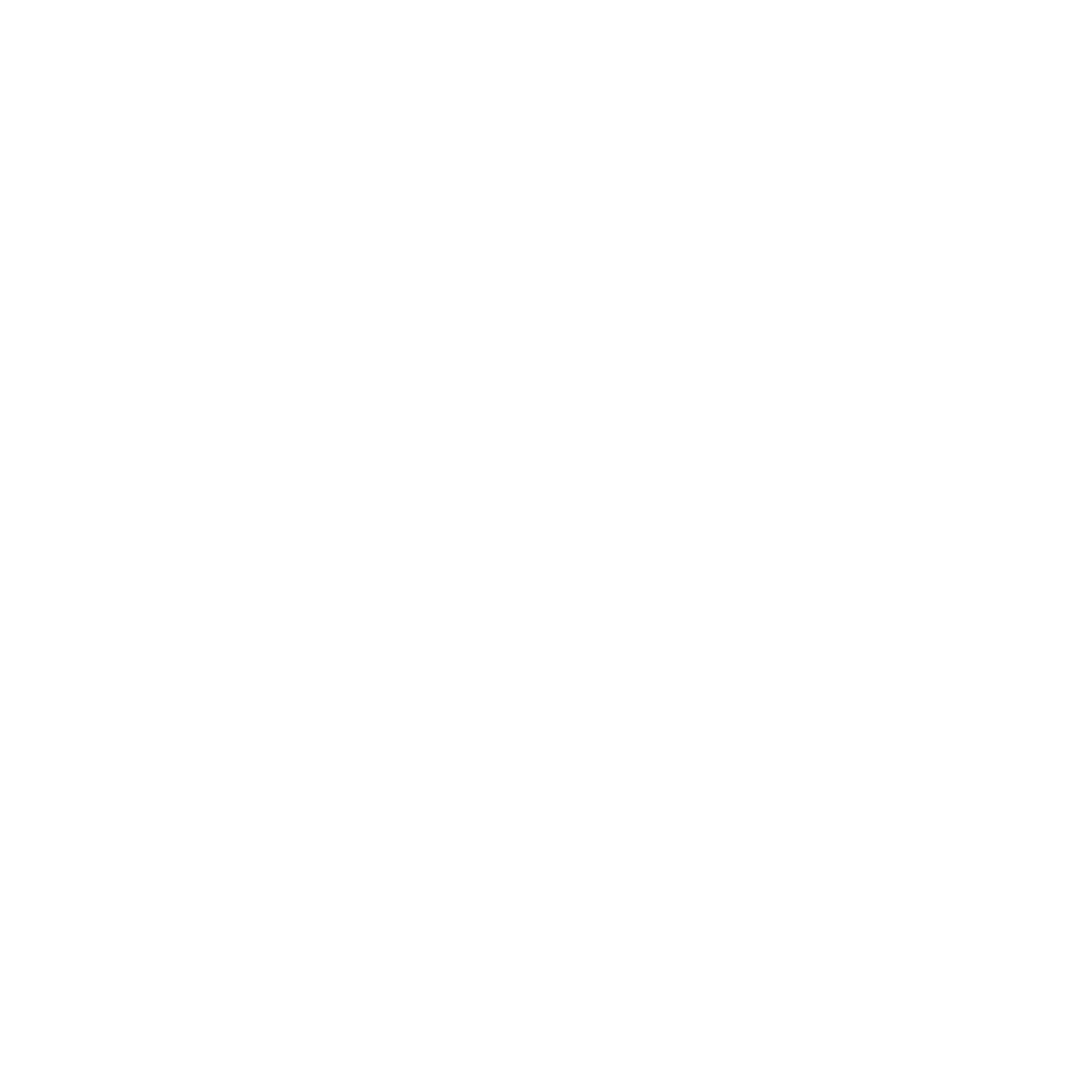 SDandI Fast